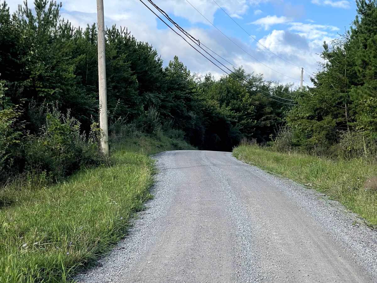 Mount Moriah Road  trail photo