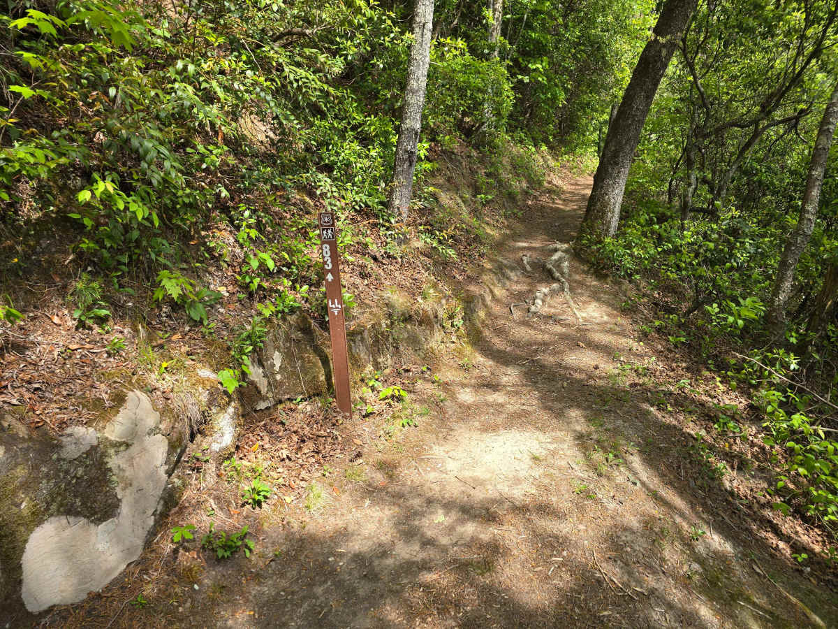 Little Dam Road photo 3
