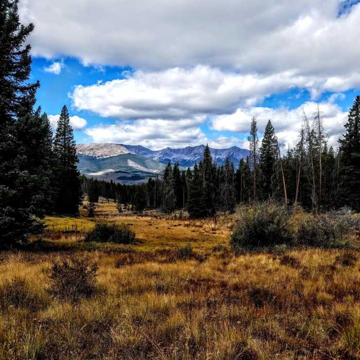 Near Colorado Trail: Georgia Pass to Breckenridge