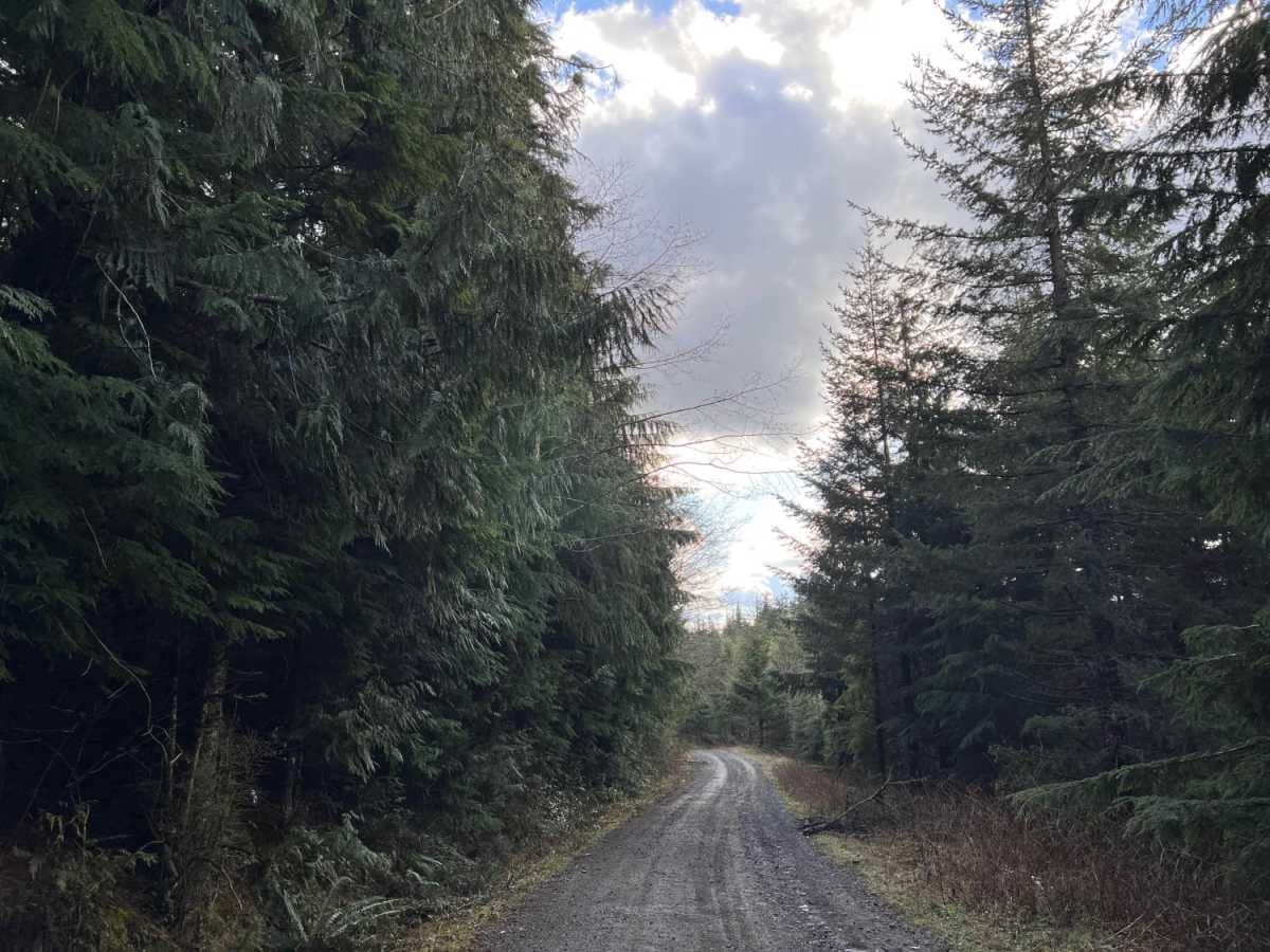 Green Mountain Gravel Pits photo 3
