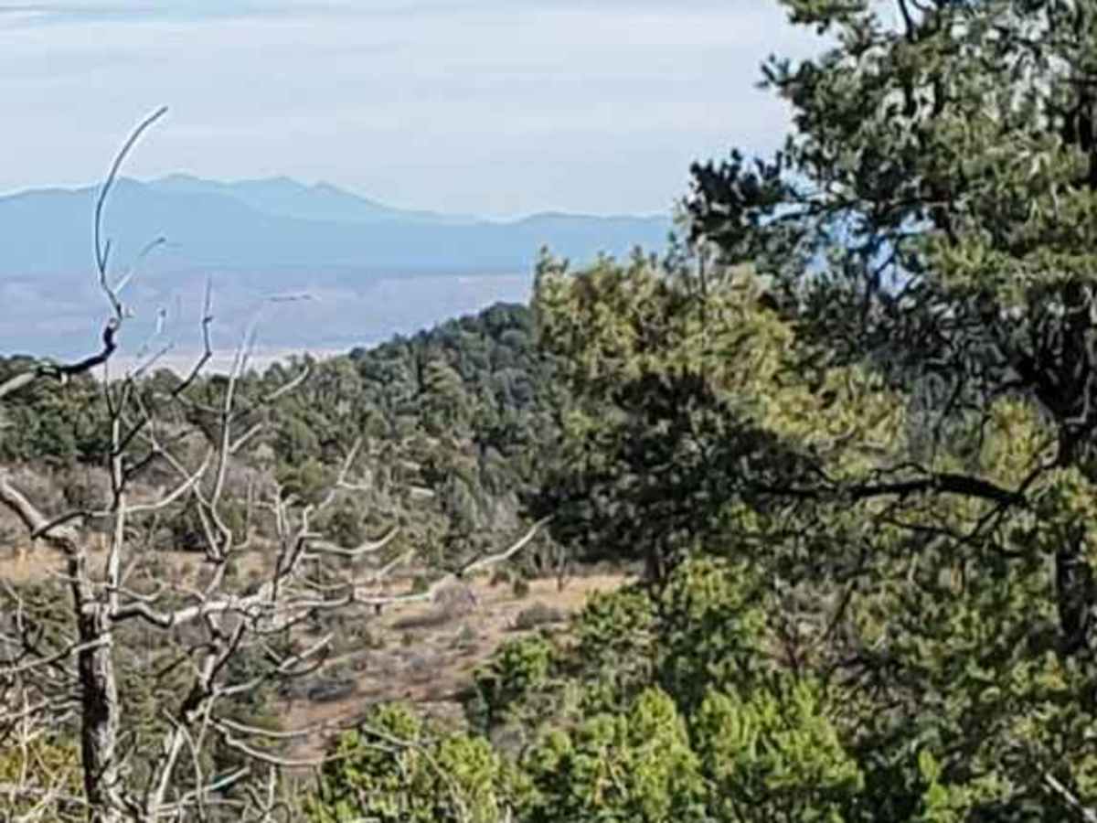 Gobbler Knob Loop trail photo