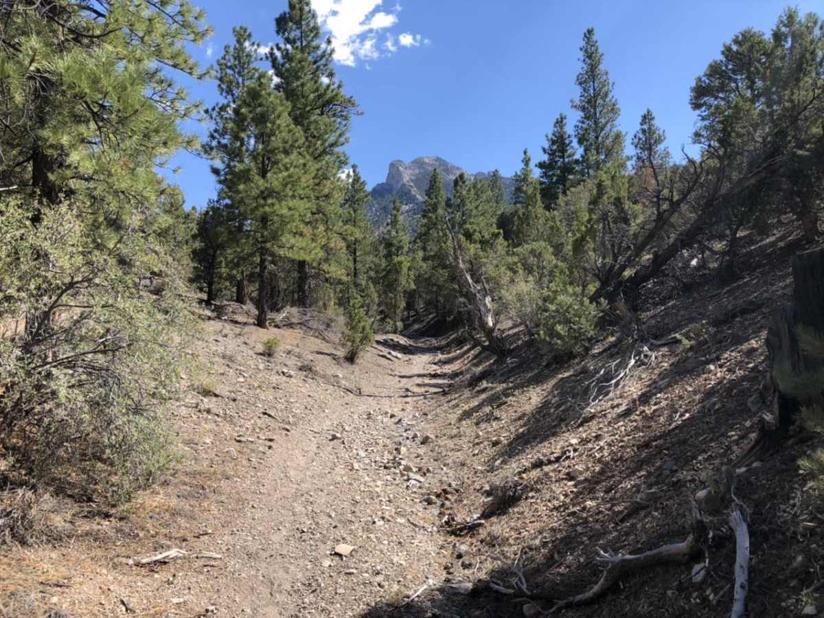 Mud Springs Road photo 5
