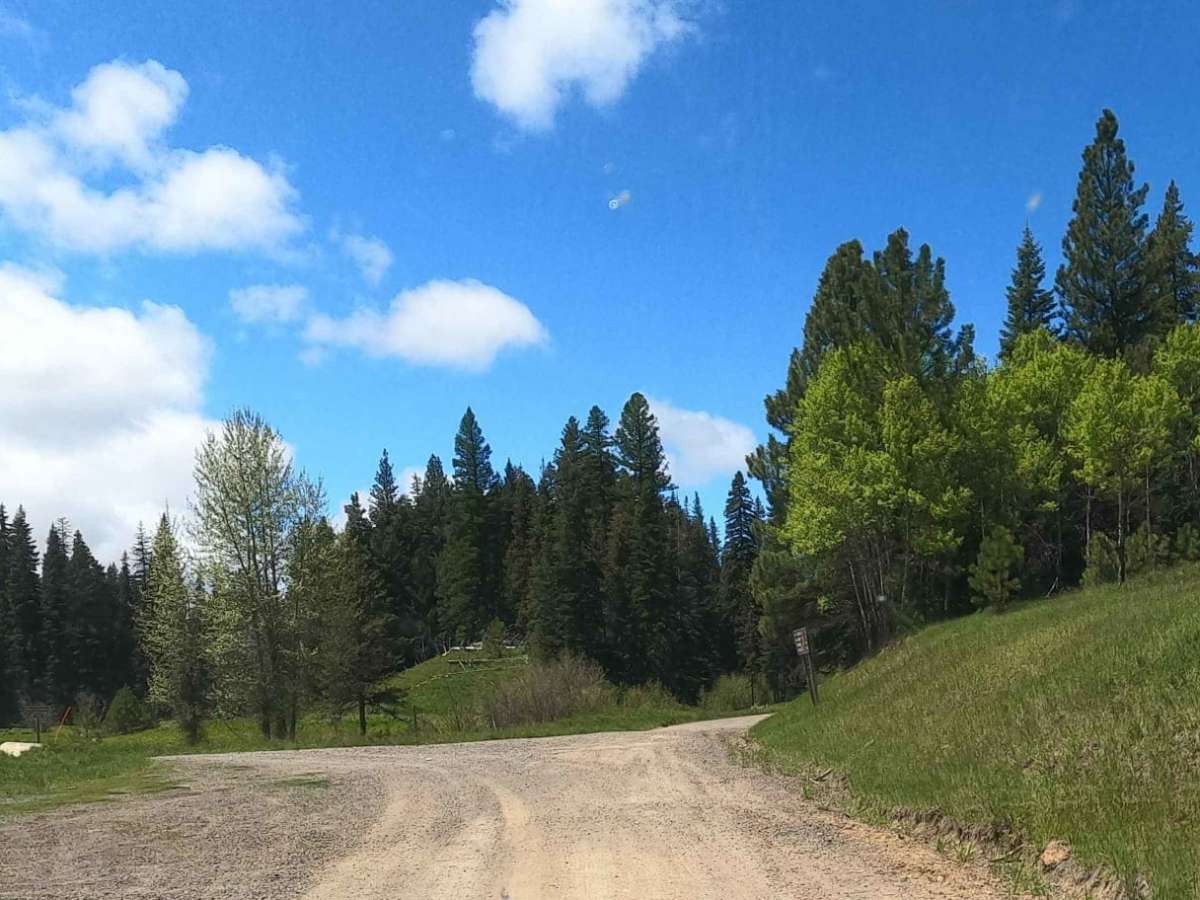 Cow Camp - NF3111 photo 5