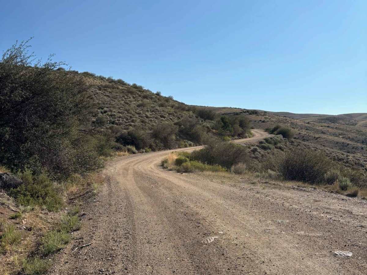 Bureau of Land Management Route 2738 - Ingress photo 6