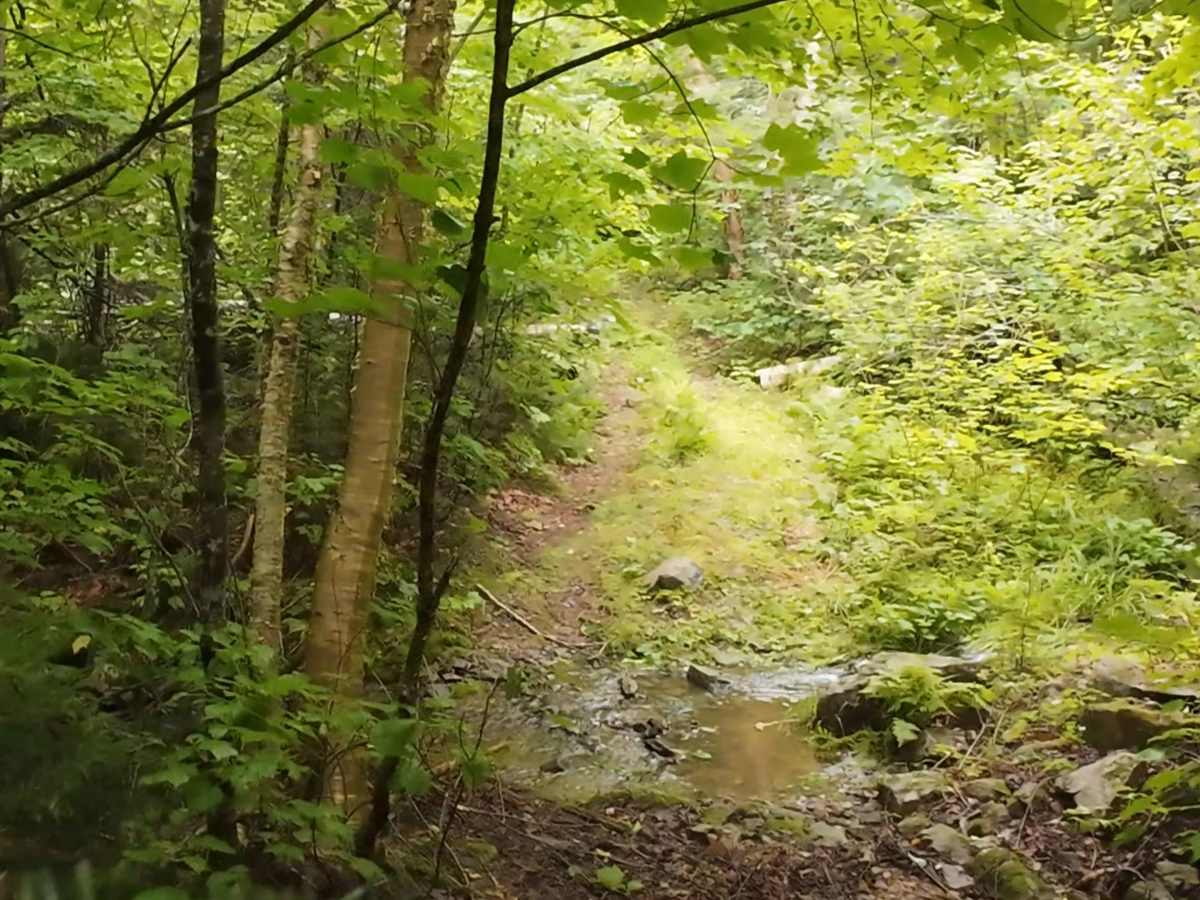 Memel Alternative Trail photo 5