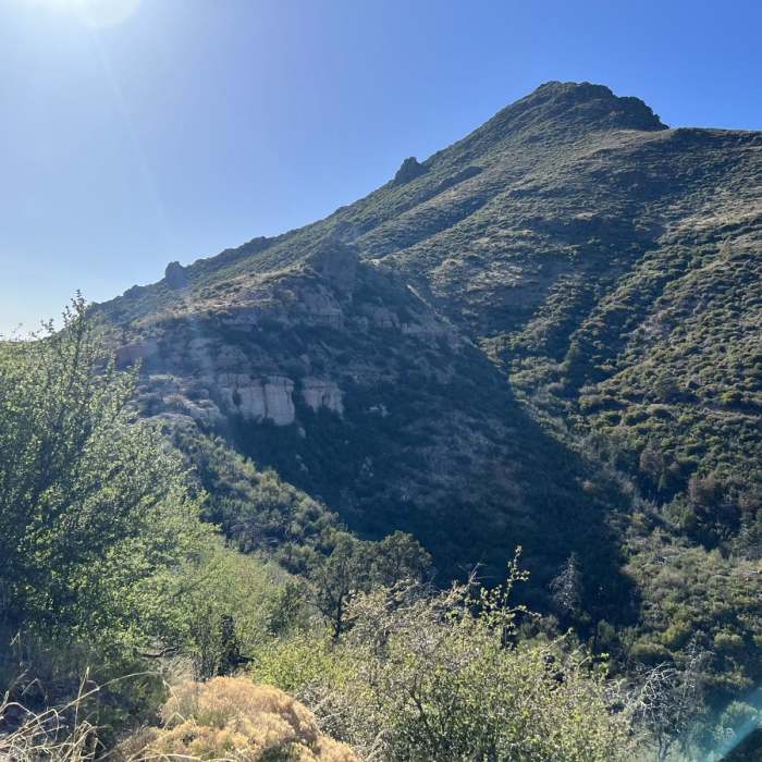 Near Saddle Mountain Trail #19