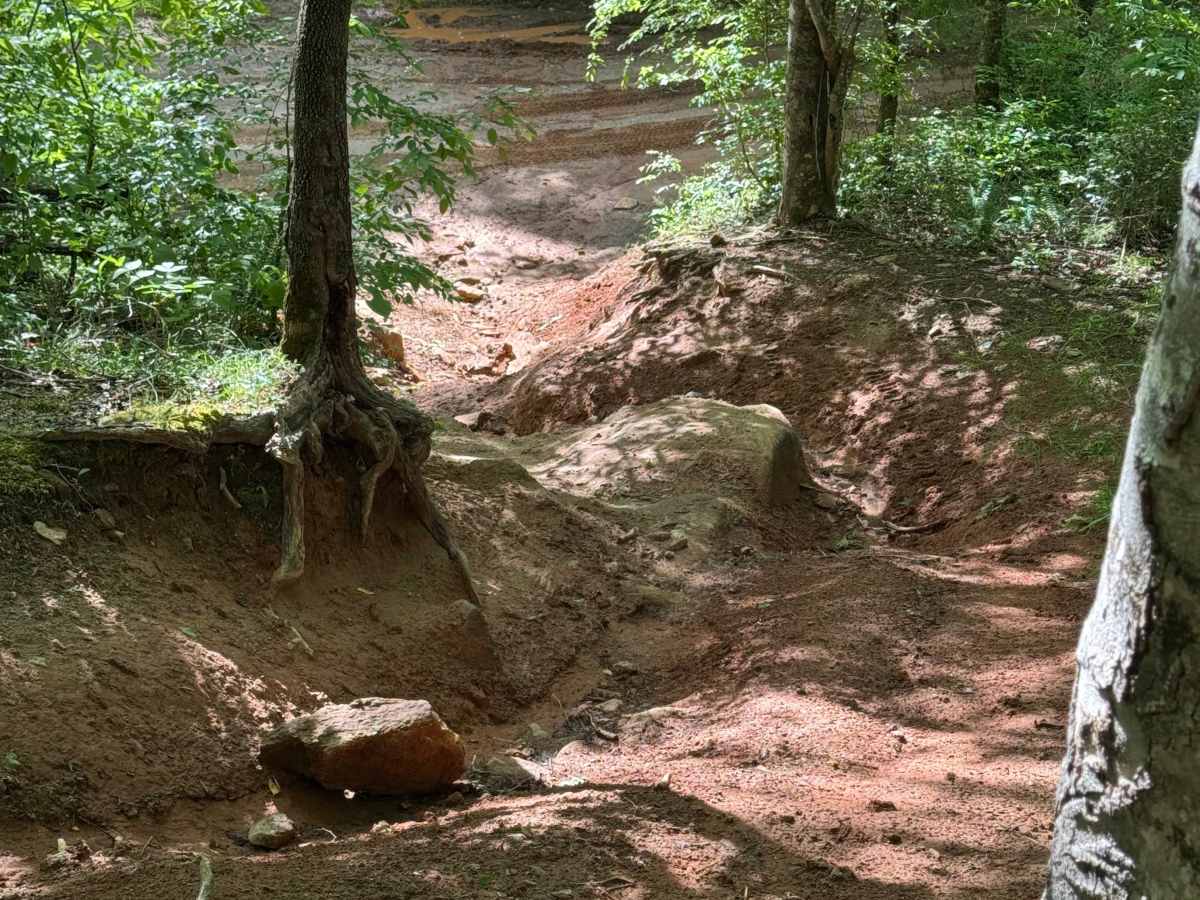 Twister Too trail photo