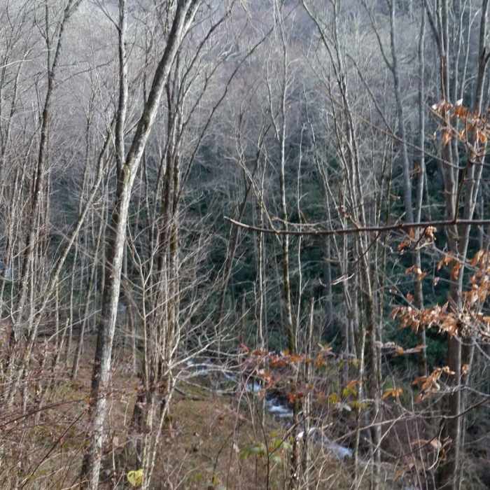 View from the switchbacks at the northern section of Hazel Creek Trail. Near Hazel Creek Trail
