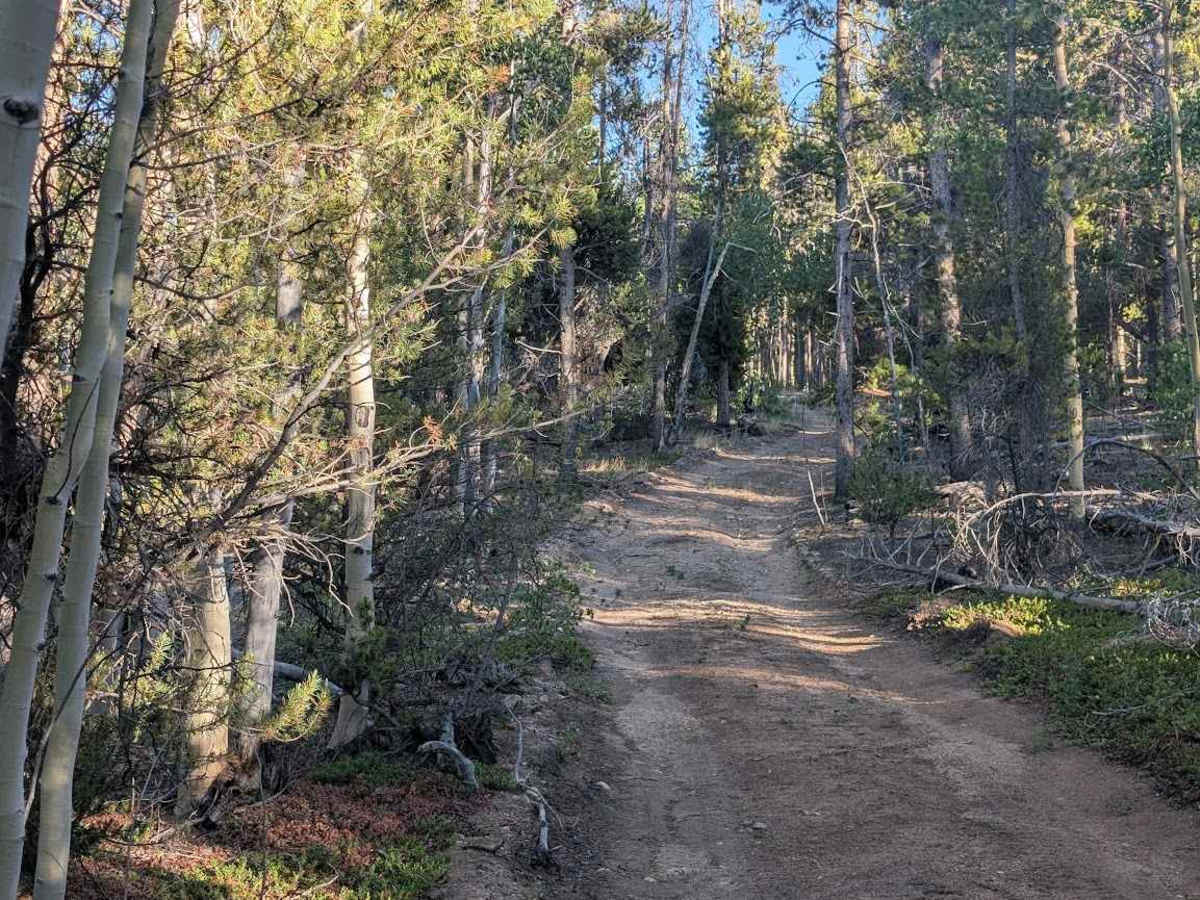 Poacher's Loop photo 4