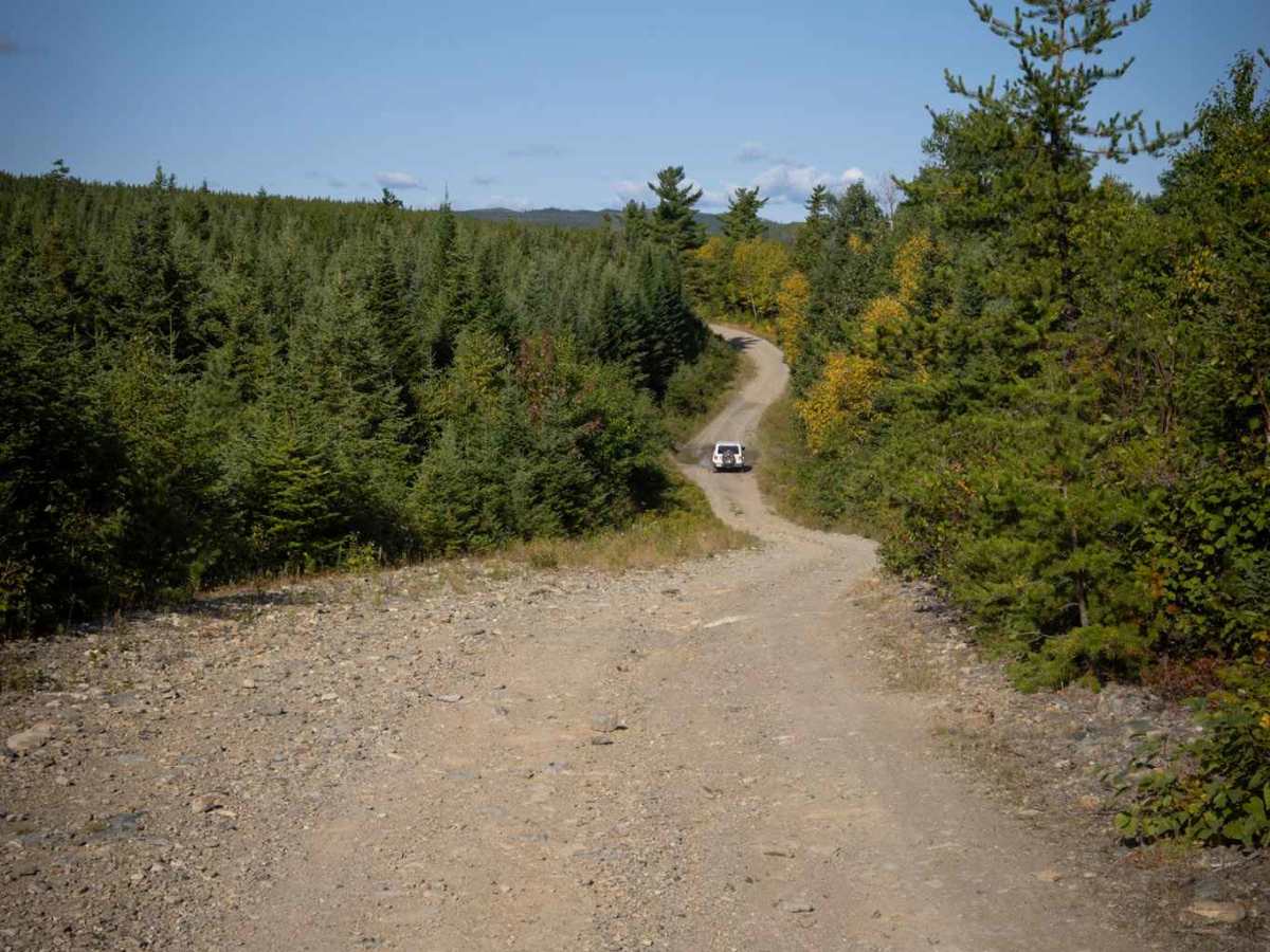 Whitebirch Road A - Trail 22 photo 3