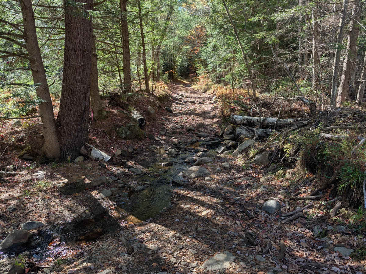 Big Hollow Road photo 3
