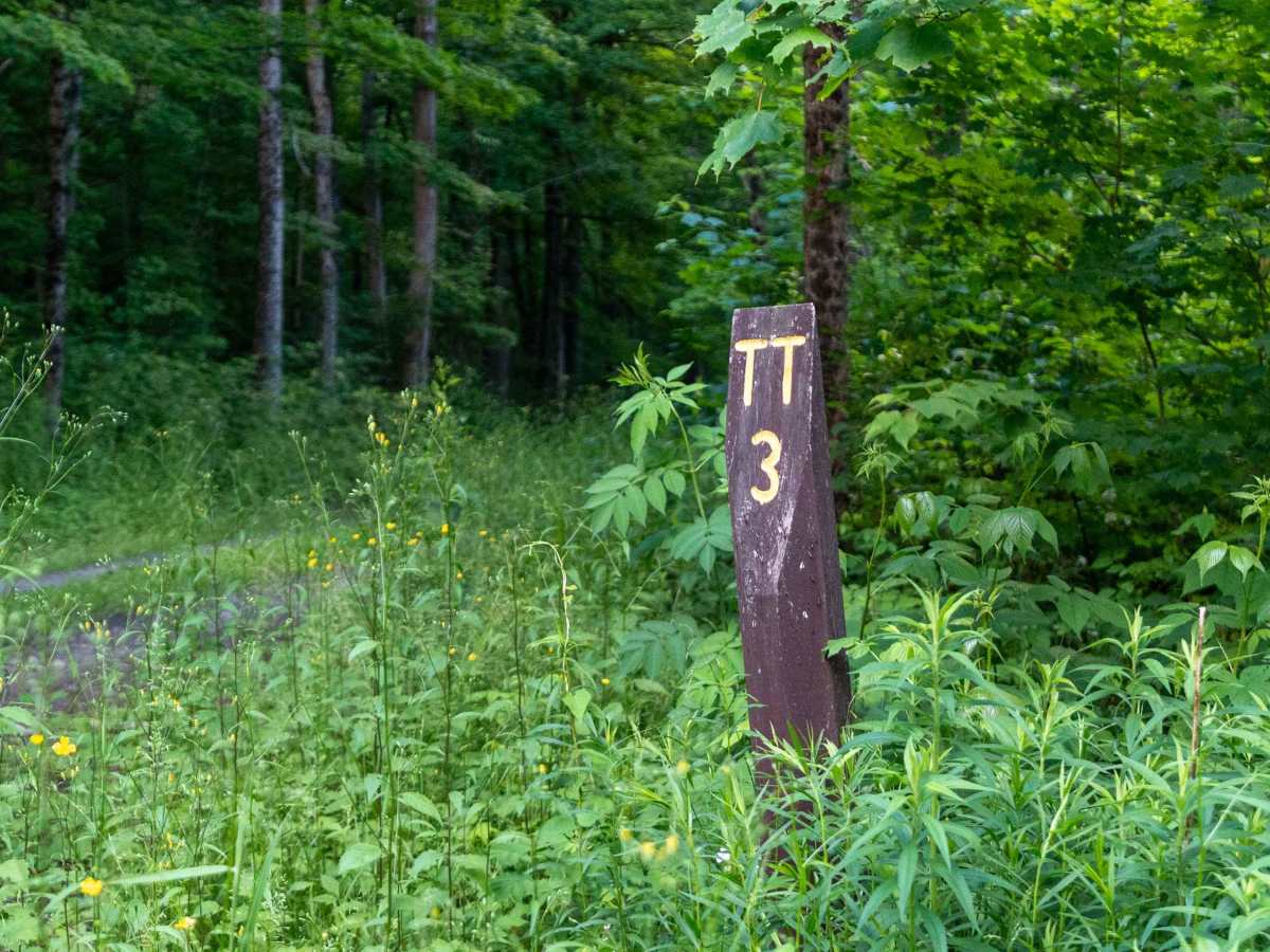 Truck Trail 3 photo 2