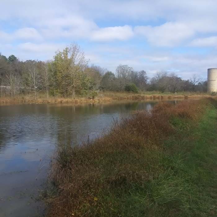 Near Brumley Nature Preserve North