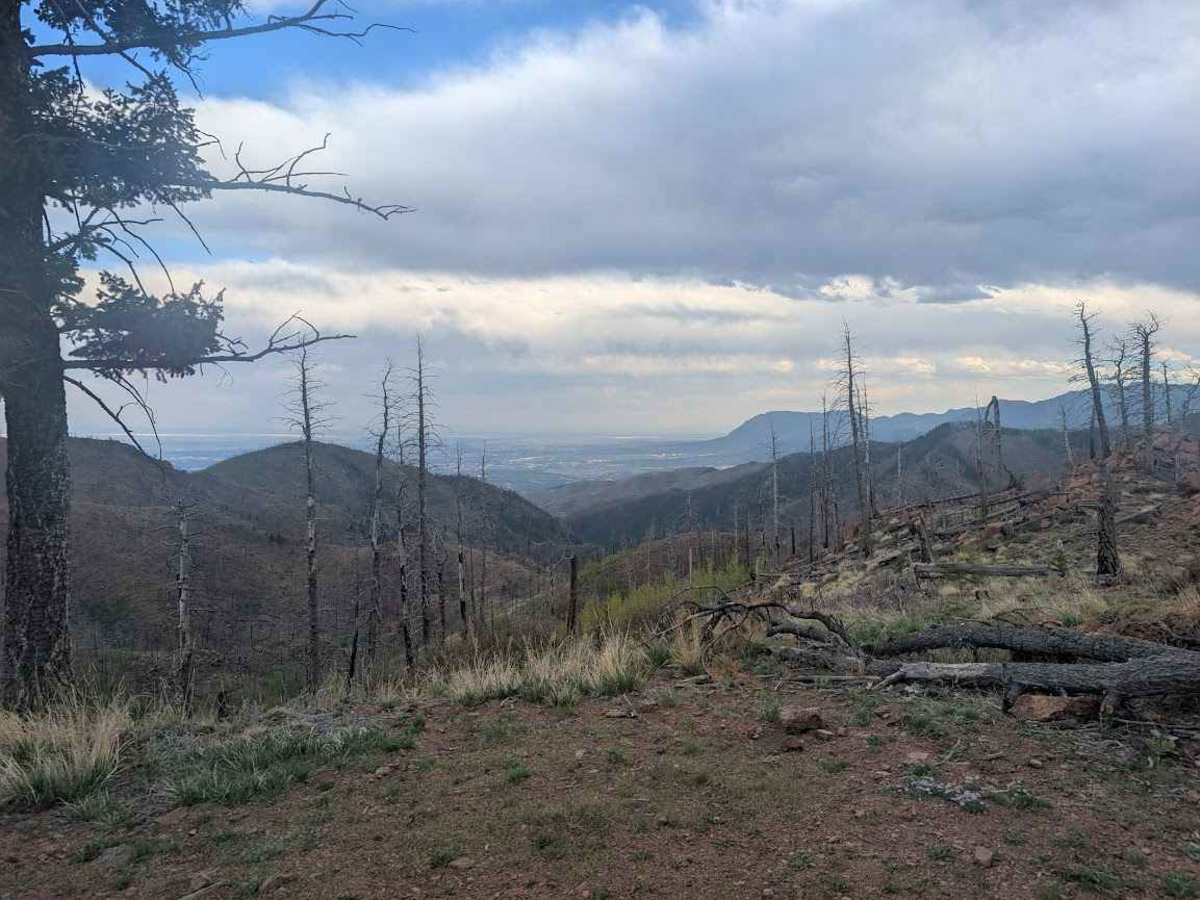 Ormes Peak Road photo 6
