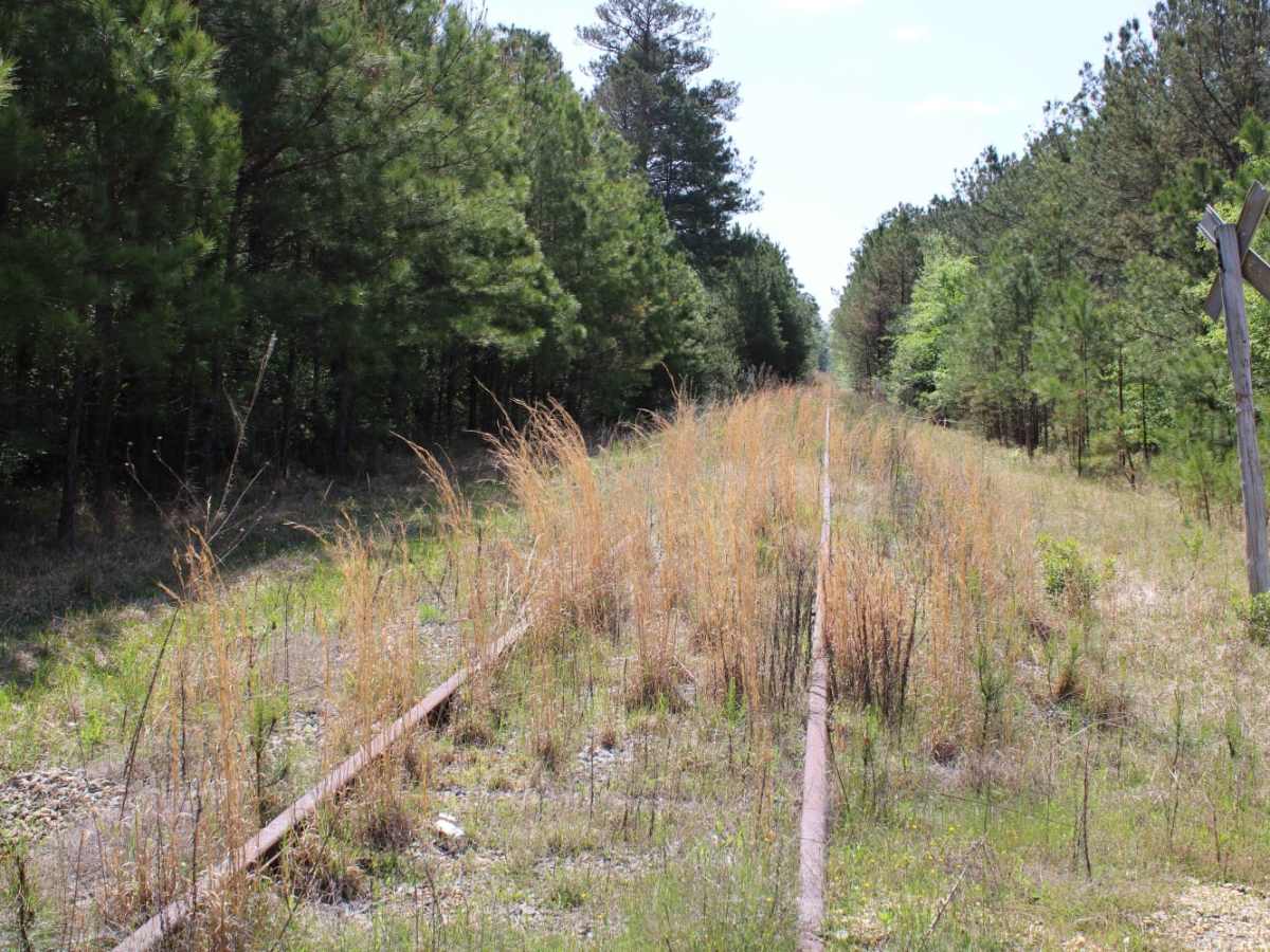 The Arkansas Overland Route - TrailHawk Loop - Section 15 trail photo