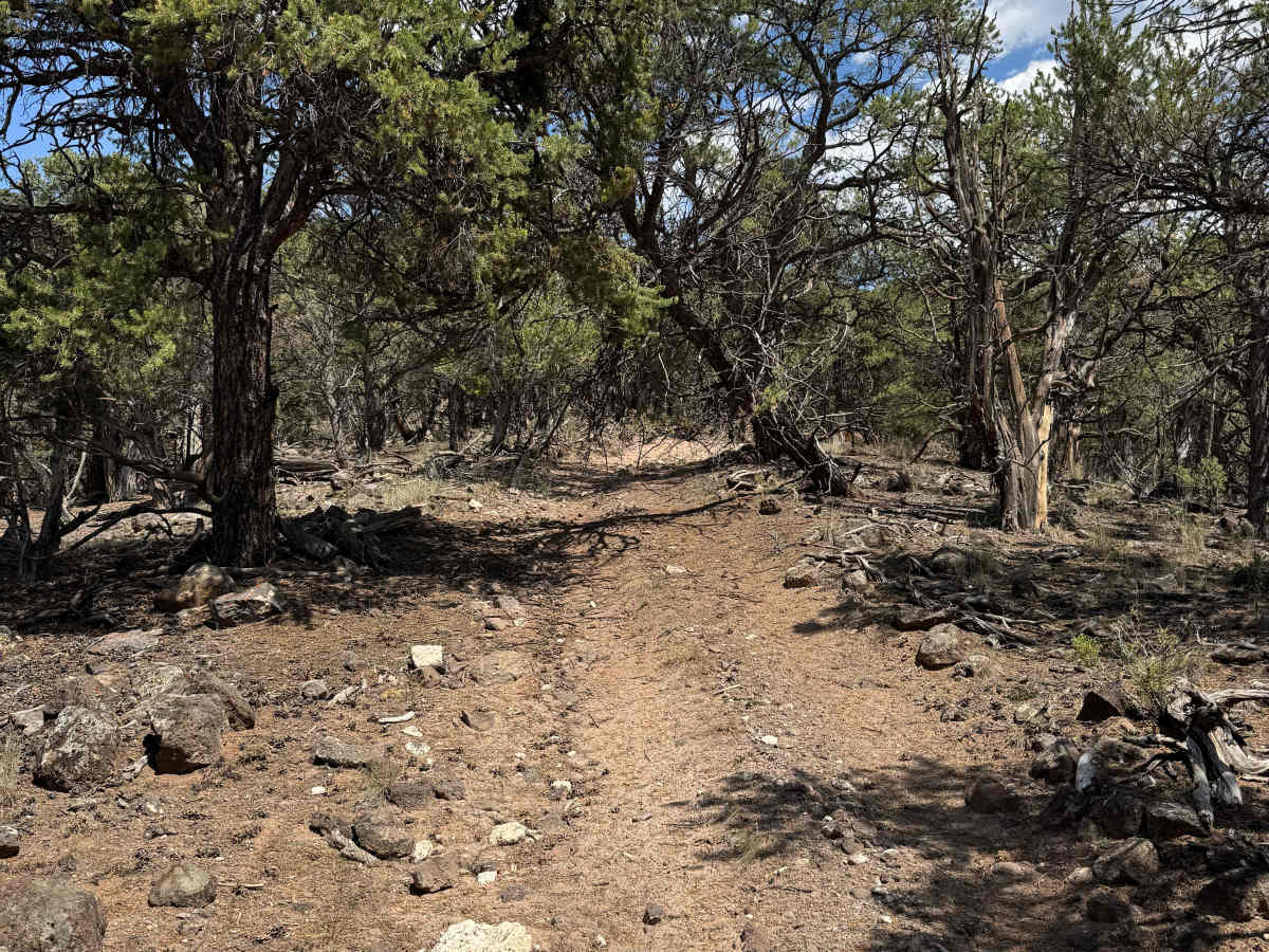 BLM 8457C photo 6
