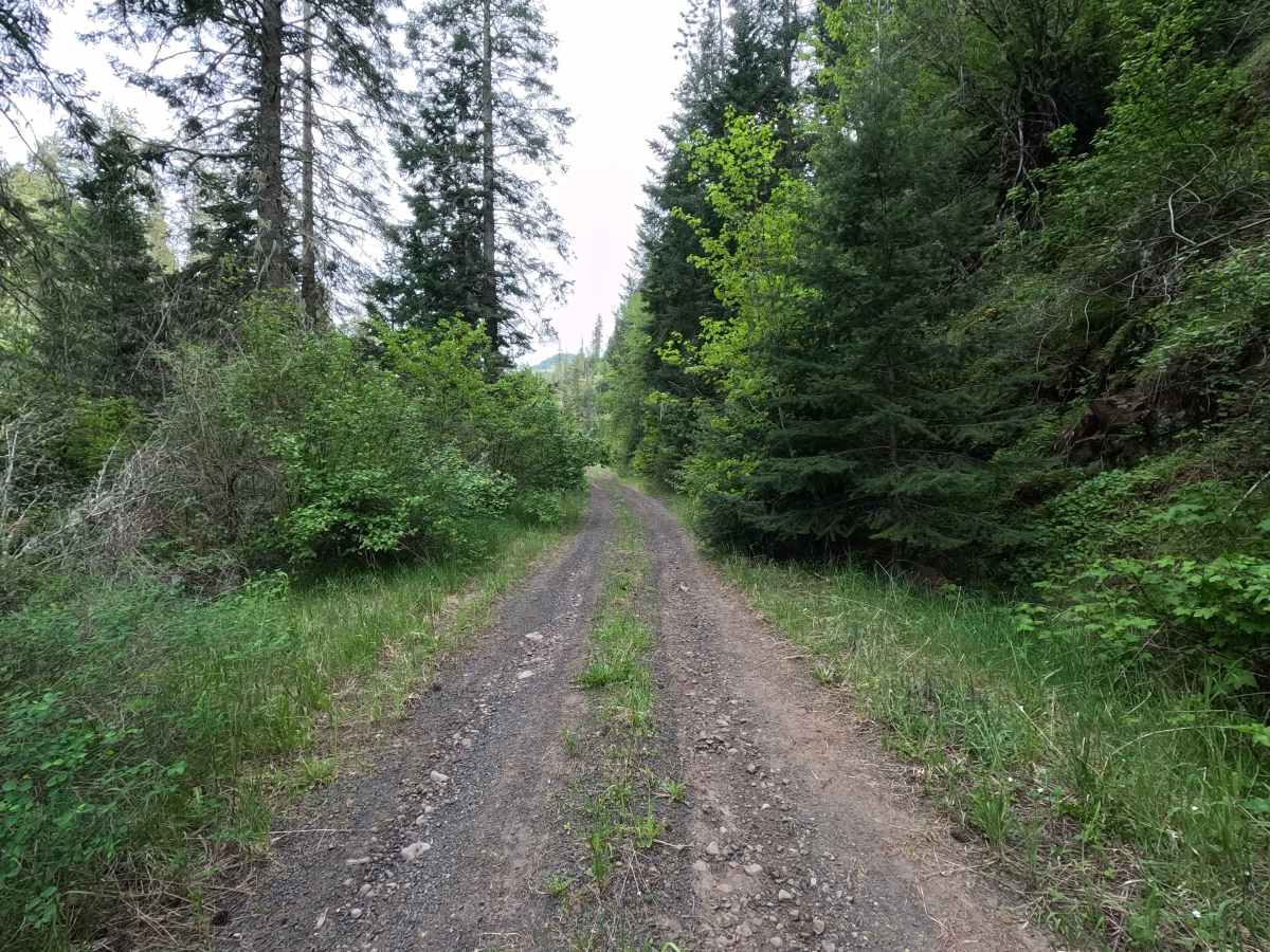 Corporation Road - FS 32 photo 3
