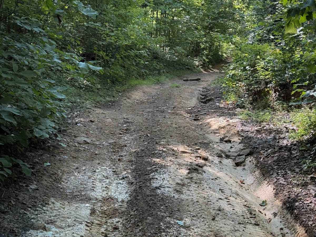 Short Ridge Trail photo 5