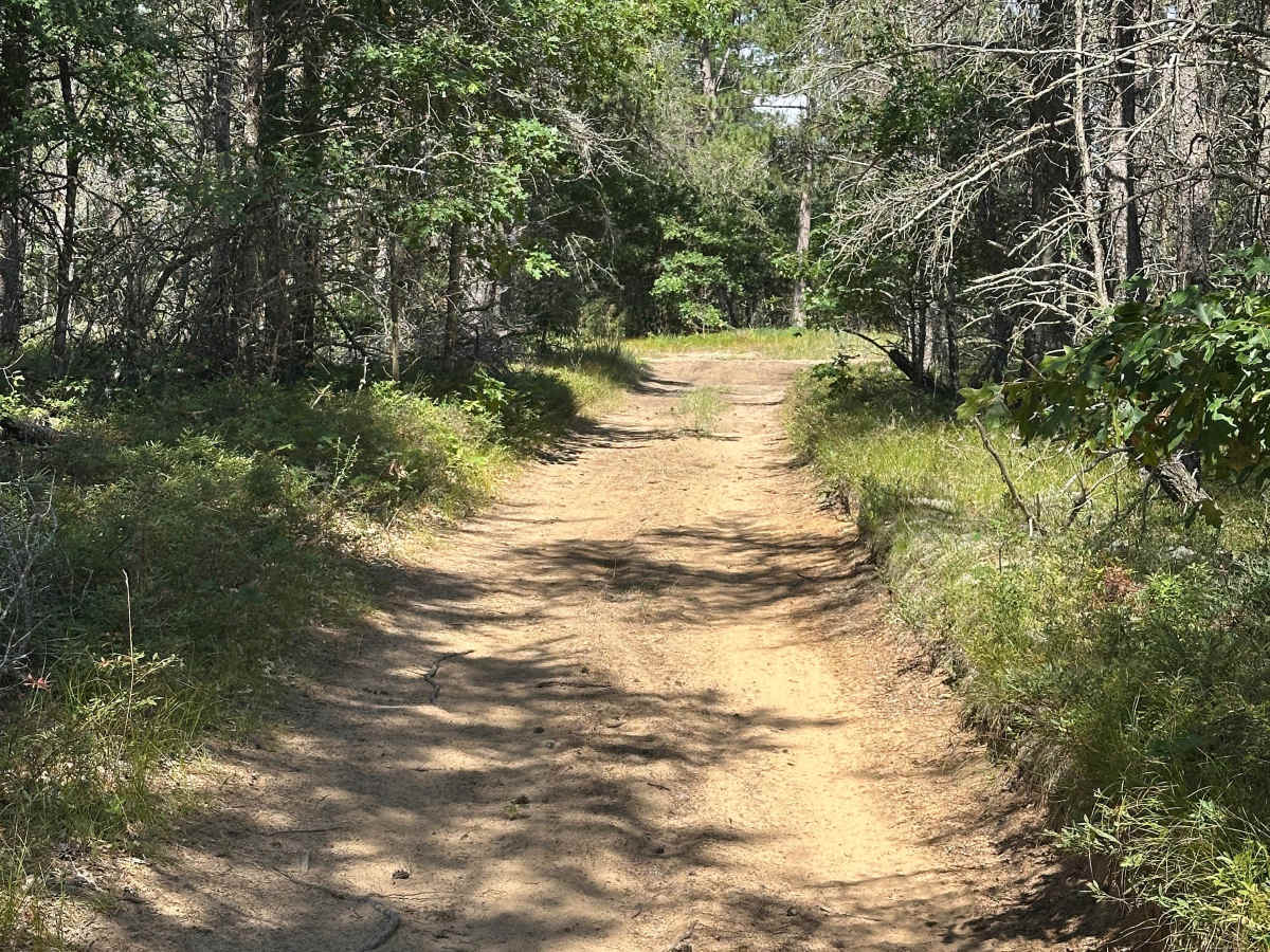 Pierce Road trail photo