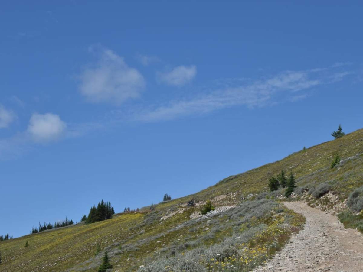 Calispell Peak photo 2