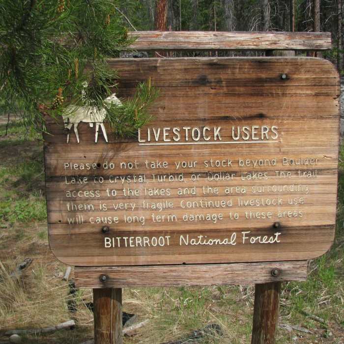 Near Boulder Creek Falls