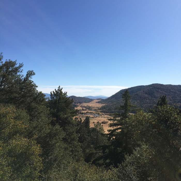Near Observatory Trail #1E02
