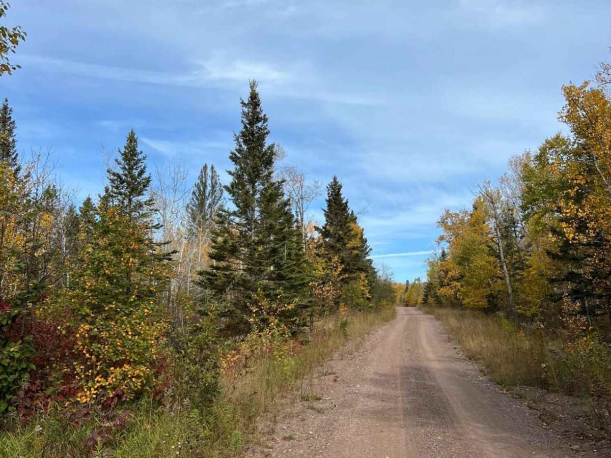 Temperance River Backroad Scenic Drive photo 2