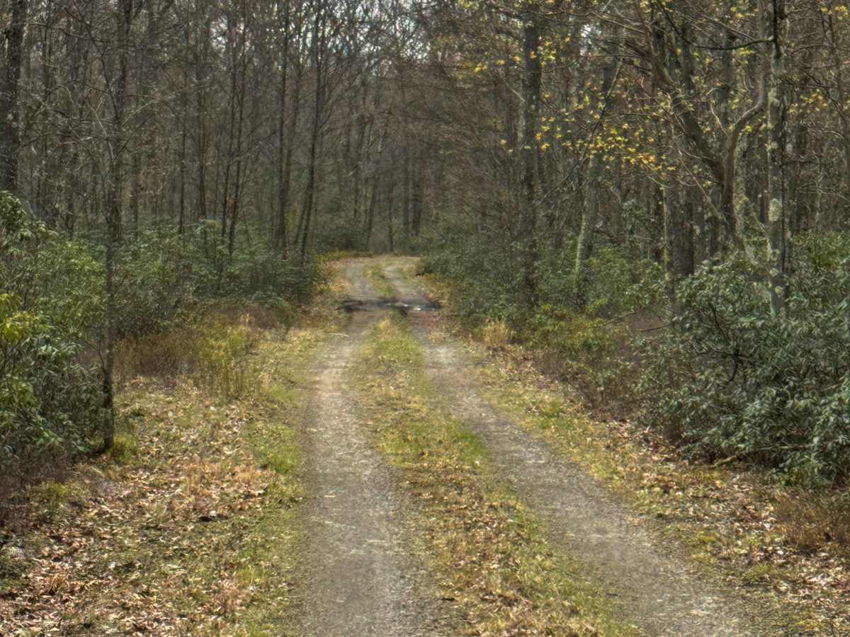 Hendricks Trail photo 5
