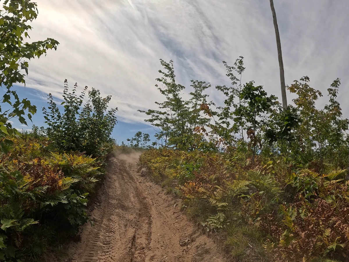 Fredrick ORV East  trail photo