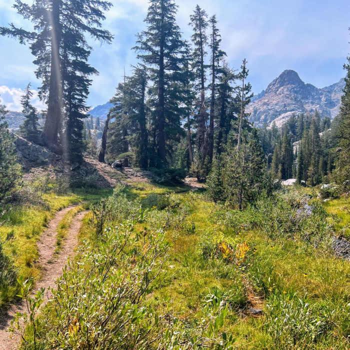 Near Minarets Lake Loop