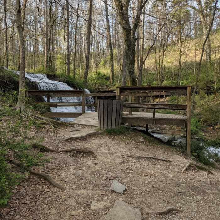 Near City Lake Natural Area