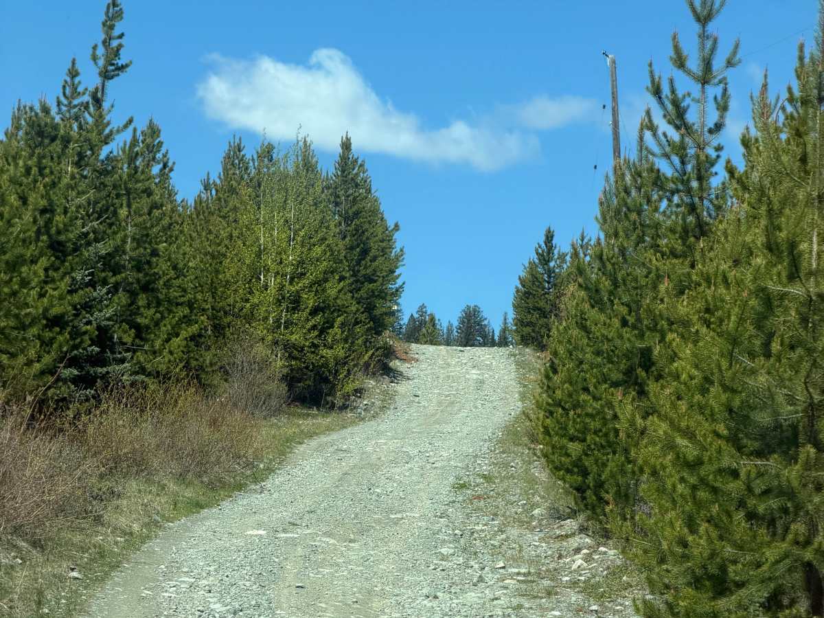 Chuwhels Mountain trail photo