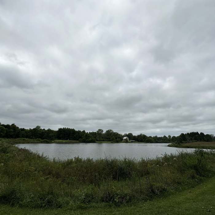 Near Yellow- Outer Loop Trail