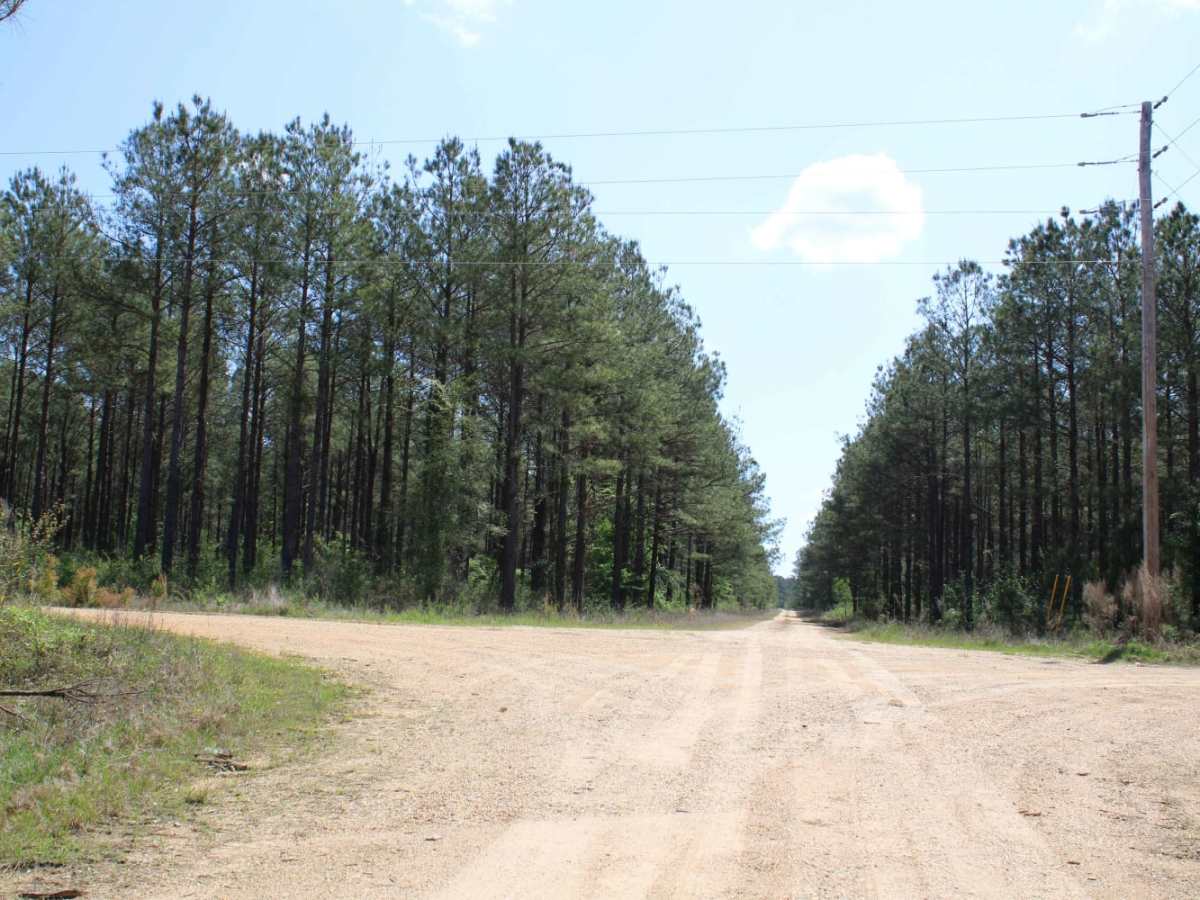 The Arkansas Overland Route - TrailHawk Loop - Section 15 photo 2