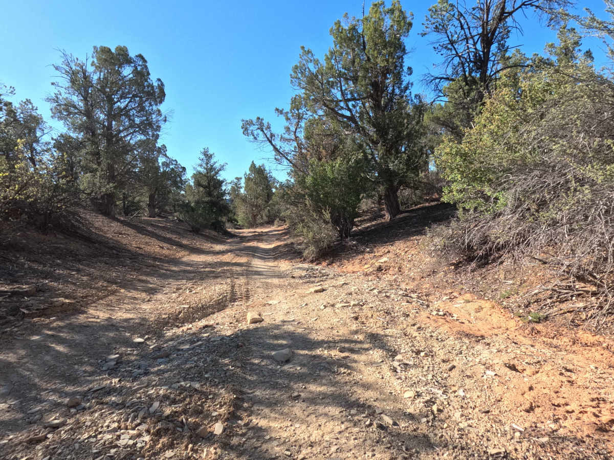 Lower Loop - BLM 73M photo 3
