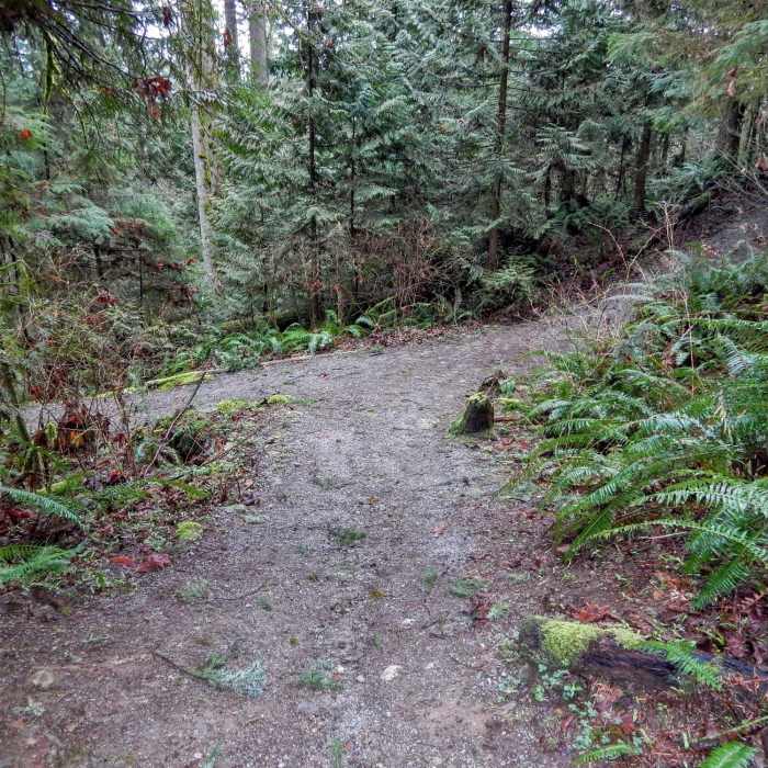 Near Thornhill Trail