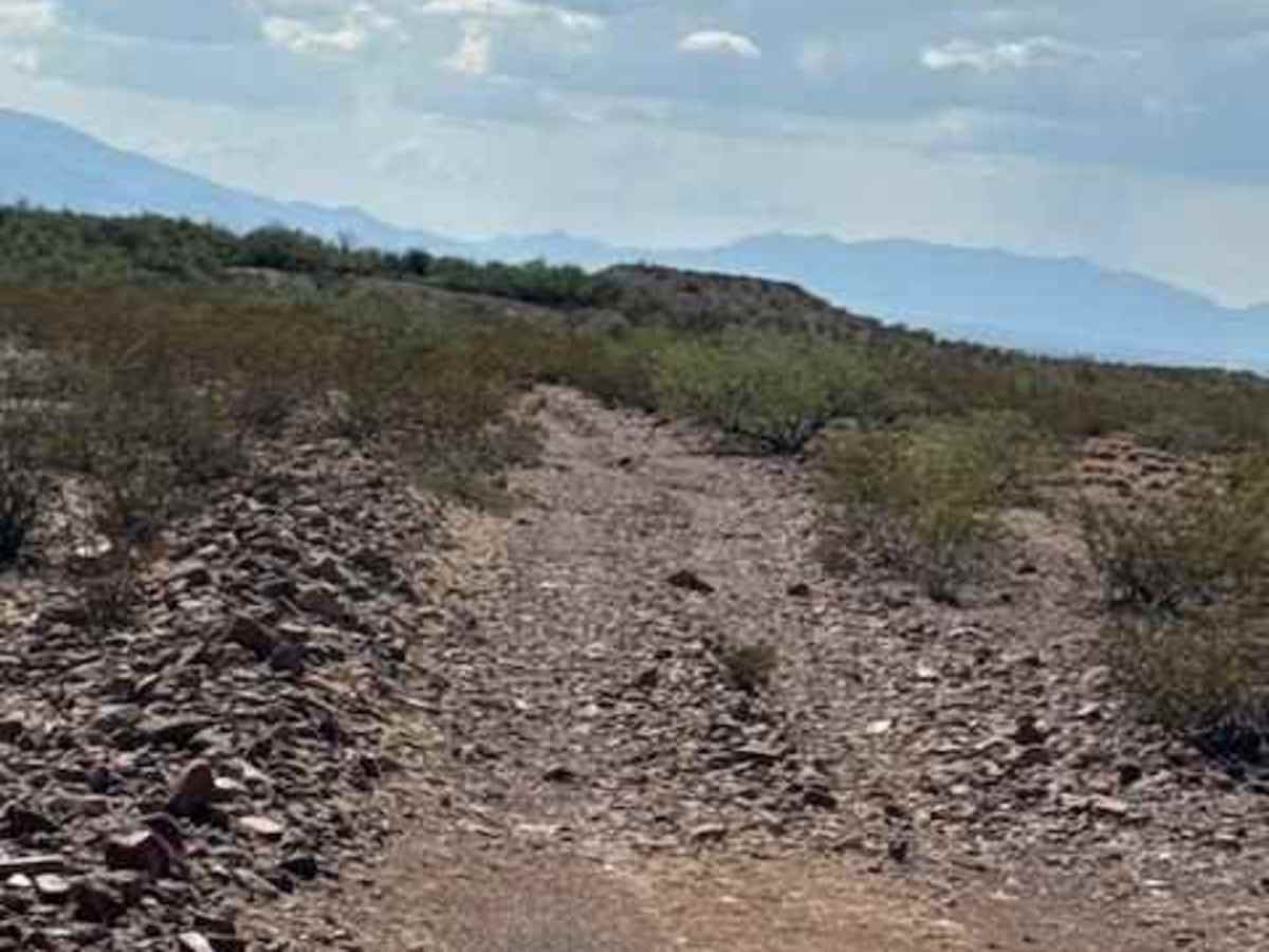 BLM PE1124 photo 6