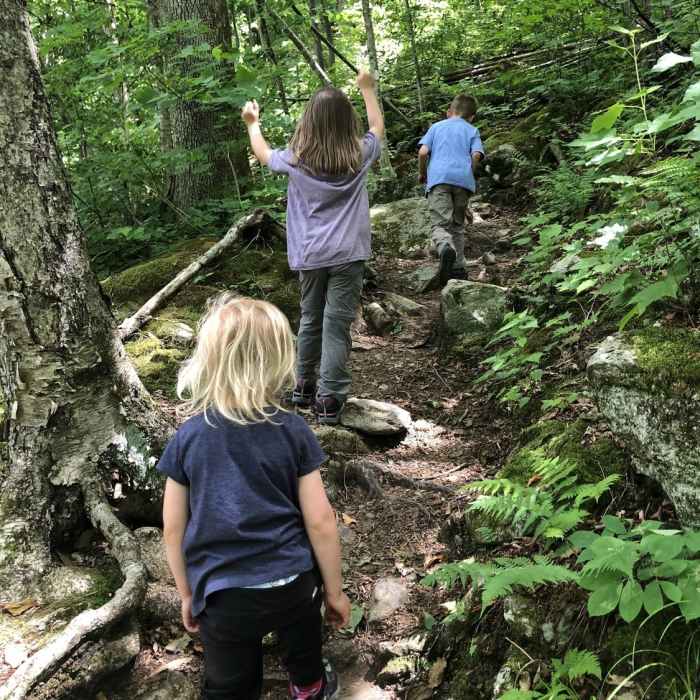 Appalachian Trail near Bennington, VT Near The Long Trail (Division 2)