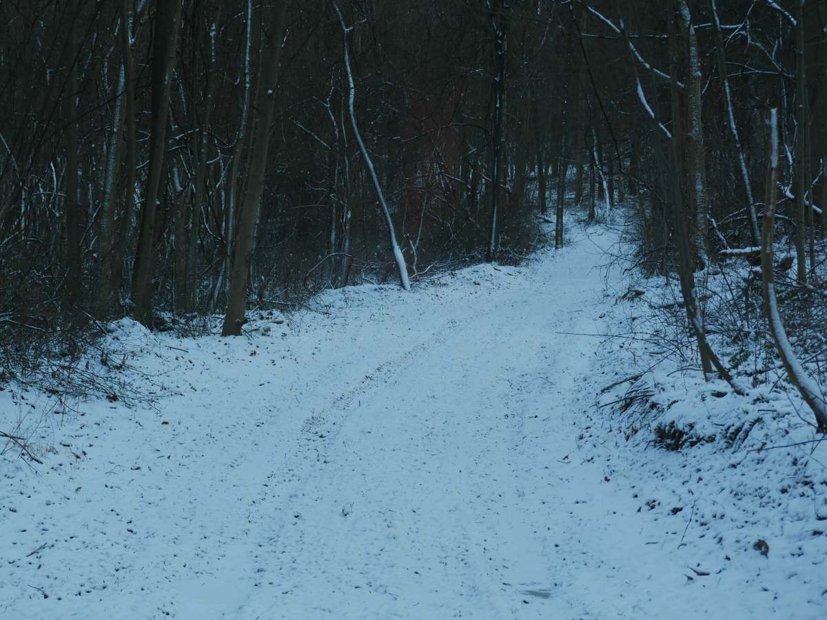Trail 14 photo 3