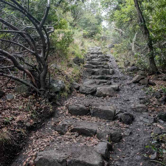 Near Ring Mountain Loop