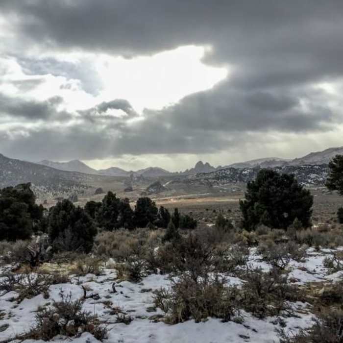 Near Geological Interpretive Trail Near Geological Interpretive Trail