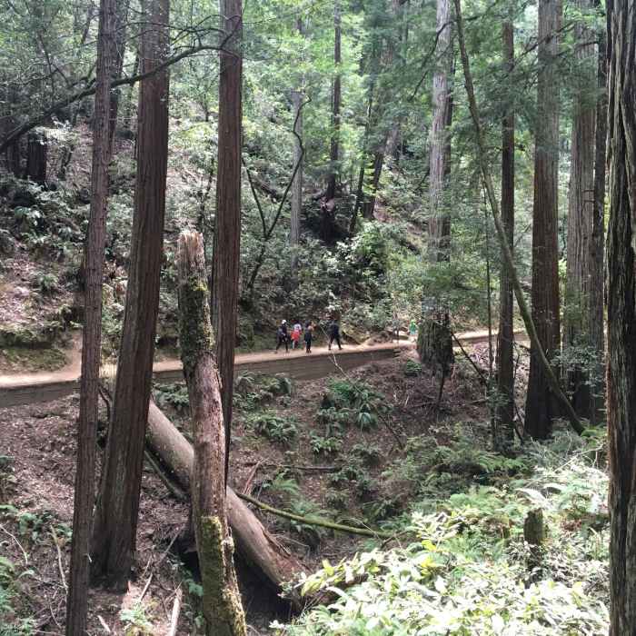 Near Ben Johnson Trail