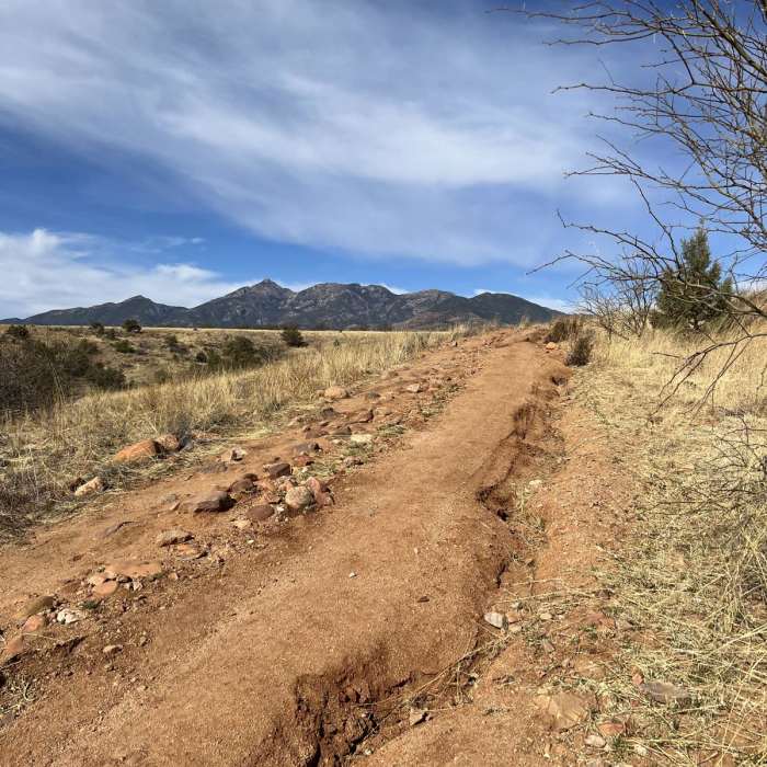 Near Arizona Trail Passage 5: Santa Rita Mountains