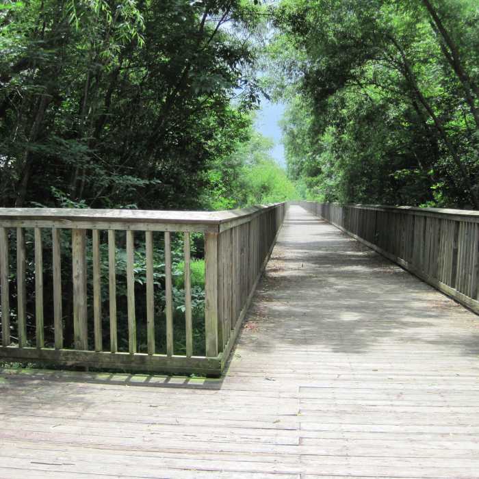 Near Mallard Creek Greenway