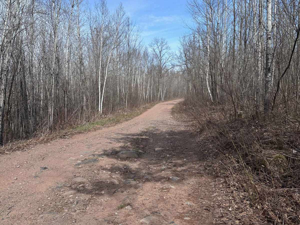 East Arm Forest Road photo 5