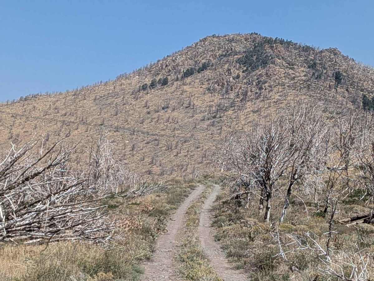 Napoleon Canyon Road - FS 32092 photo 2
