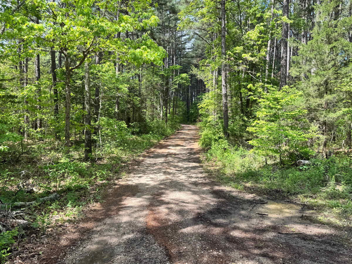 Gallings - FS 1791 trail photo