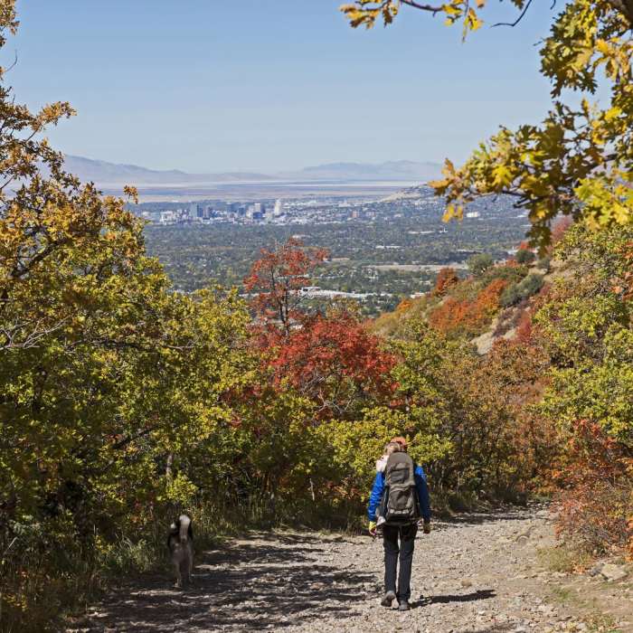 Near South Fork of Neff's Canyon