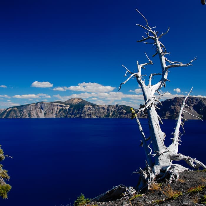 Near Wizard Island Summit Trail