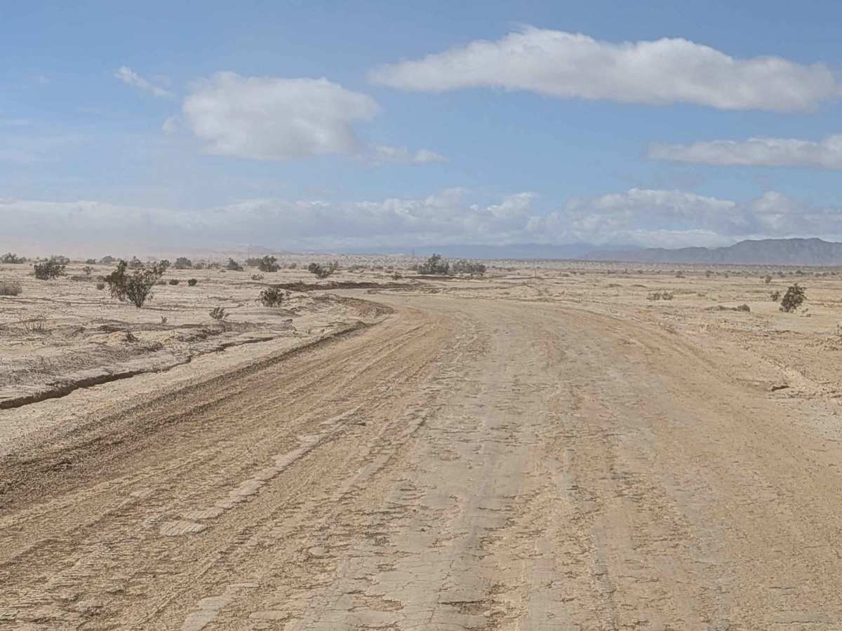 BLM 412 photo 2